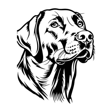 Detailed Black and White Sketch of a Dog's Head Capturing the Beauty and Expression of a Loyal Canine Companion