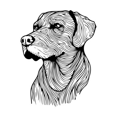 Detailed Artistic Illustration of a Dog in Profile with Elegant Line Art Style
