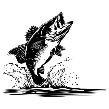 Detailed Black and White Illustration of a Freshwater Fish Jumping Out of Water with Splash Effects