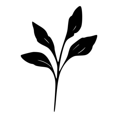 Black Silhouette of a Decorative Leafy Plant with Multiple Leaves for Nature Inspired Designs and Illustrations