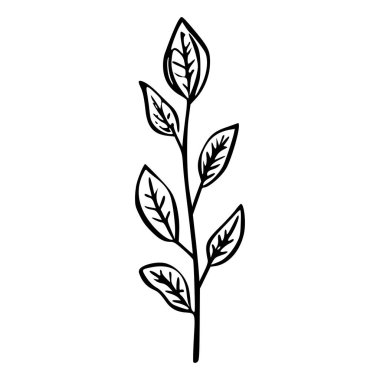 Hand-drawn black and white illustration of a simple branch with leaves on a transparent background, perfect for nature-themed designs and backgrounds