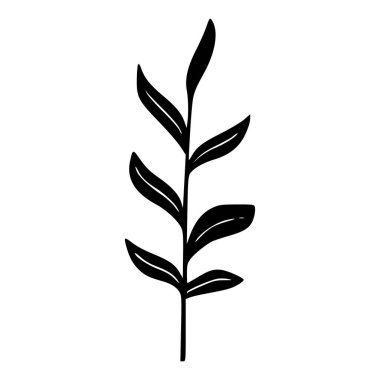 Elegant silhouette of a single botanical branch featuring slender leaves for nature-themed design and decor projects