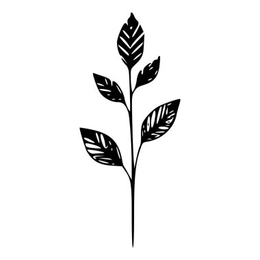 Elegant silhouette of a botanical plant with detailed leaves and a graceful structure showcasing nature's beauty in monochrome style