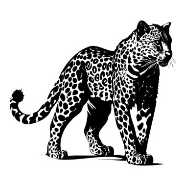 Elegant Black and White Illustration of a Leopard Standing Proudly with Detailed Spots and Graceful Posture