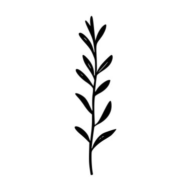 Black silhouette of a single leaf branch with multiple slender leaves on a white background for natural design or botanical illustration