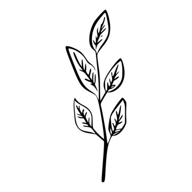 Decorative hand-drawn illustration of a single branch with delicate green leaves for use in various design projects and nature-themed artwork