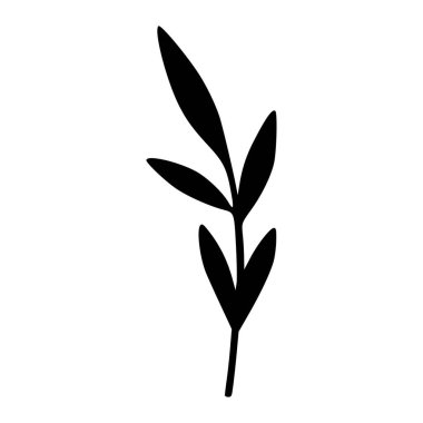 Black silhouette of a single leaf branch with delicate elongated leaves on a simple white background for nature and botanical themes