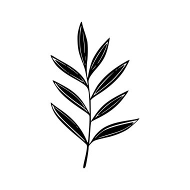 Elegant Botanical Illustration of a Single Leafy Stem with Delicate Leaves for Nature Inspired Designs and Projects