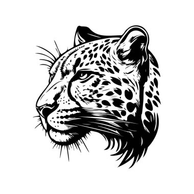 Elegant Black and White Illustration of a Leopard Head Showcasing Distinctive Features and Striking Expression in Detailed Line Art Style