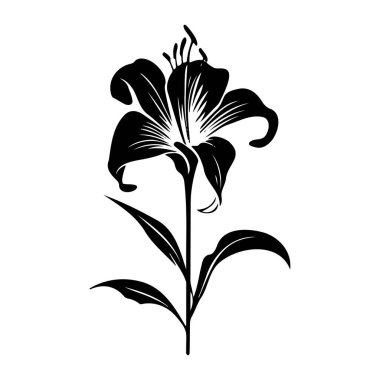 Elegant Silhouette of a Lily Flower with Delicate Petals and Leaves for Design and Illustration Purposes in Monochrome Style