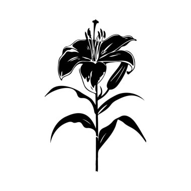 Elegant Black and White Illustration of a Lily Flower with Detailed Petals and Leaves for Artistic and Floral Design Projects