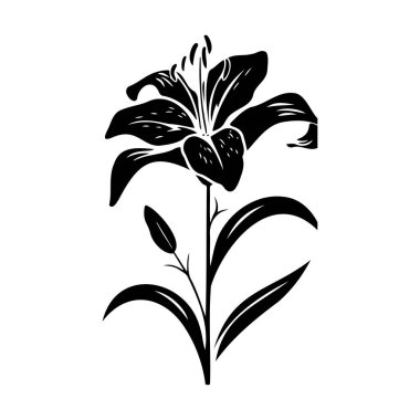 Elegant Black and White Illustration of a Lily Flower Design with Detailed Petals and Leaves for Artistic and Floral Themes
