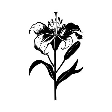 Elegant Black and White Floral Illustration of a Lily with Leaves and Bud, Artistic Design for Nature and Botanical Themes