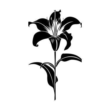 Elegant black and white illustration of a single lily flower with leaves and stem, ideal for nature and botanical-themed designs