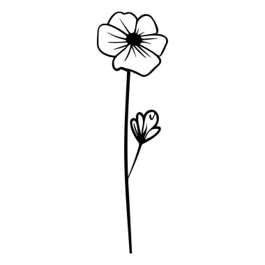 Minimalistic Hand-Drawn Floral Illustration of a Delicate Flower with Bud on a Simple Stem in Black and White for Artistic Designs and Print