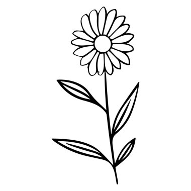 Hand-drawn illustration of a simple flower design featuring petals, leaves, and a single stem for decorative or artistic use