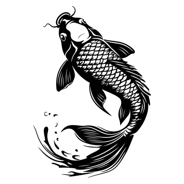 Elegant Black and White Koi Fish Swimming with Splashing Water and Graceful Motion Illustrating Serenity and Beauty in Nature