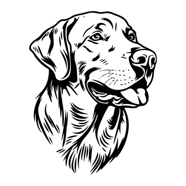 Detailed Black and White Illustration of a Labrador Retriever Dog Head with Expressive Features and Friendly Expression