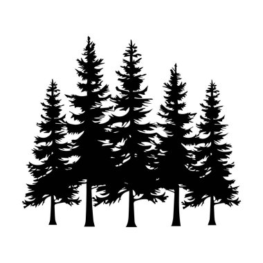 Silhouette of Tall Pine Trees Against a White Background for Nature-Themed Designs and Illustrations
