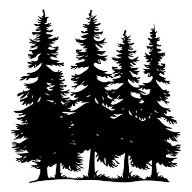 Silhouette of Tall Evergreen Trees in Forest for Nature and Outdoor Themed Projects and Design Elements