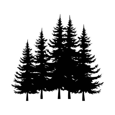 Silhouette of Tall Evergreen Trees Against a White Background for Nature and Outdoor Themes