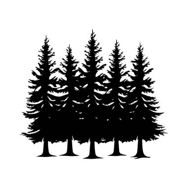 Silhouette of Evergreen Trees in Forest Design for Nature and Landscape Themes