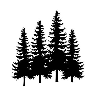 Silhouette of Tall Pine Trees Against a White Background Perfect for Nature Illustrations or Environmental Designs