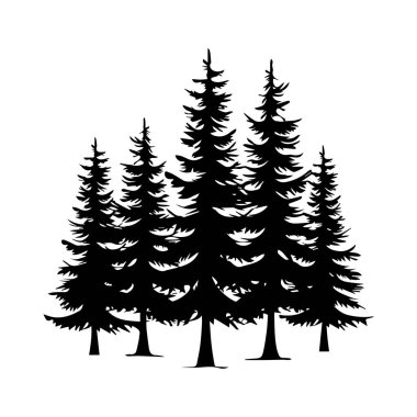 Silhouette of Tall Pine Trees in a Forest Landscape for Nature and Outdoor Themes