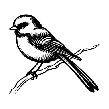 Detailed black and white illustration of a bird perched on a branch showcasing intricate lines and natural design elements for artistic use