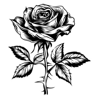 Elegant Black and White Rose Illustration with Detailed Petals and Leaves for Artwork and Design Projects
