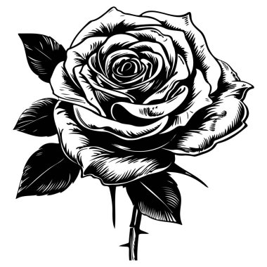 Black and White Illustration of a Beautiful Rose with Detailed Petals and Leaves for Artistic and Floral Design Projects