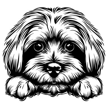 Cute Line Art Illustration of a Dog with Big Eyes Resting Its Head on Paws, Ideal for Pet Lovers and Illustrated Designs