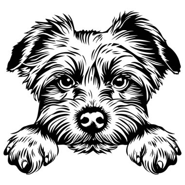 Close-up view of a cute dog with soft fur resting its head on its paws, portraying a playful and loving expression in a sketchy art style