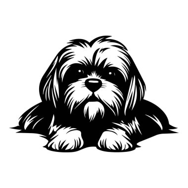 Cute and Adorable Illustrated Dog with Fluffy Fur Lying Down in a Relaxed Pose on a White Background