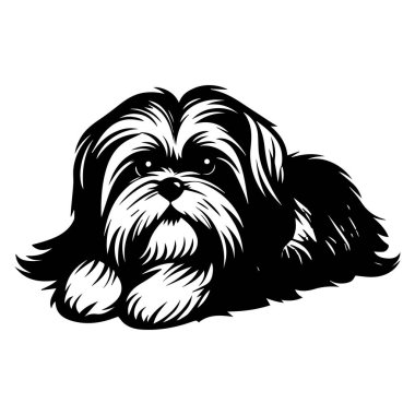 Cute and Cozy Illustrative Dog Graphic Featuring a Shih Tzu Style in Black and White, Perfect for Pet Lovers and Design Projects