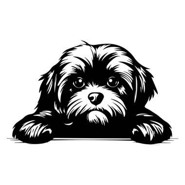 Adorable black and white illustration of a small dog resting its head on a surface with a charming expression and captivating eyes