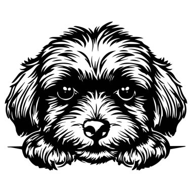 Cute cartoon illustration of a fluffy dog face with big eyes and soft fur, perfect for pet lovers and animal-themed designs and projects.