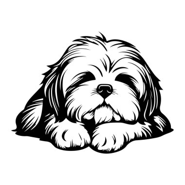 Cute and fluffy dog illustration lying down with a relaxed expression, perfect for pet lovers and animal-themed designs