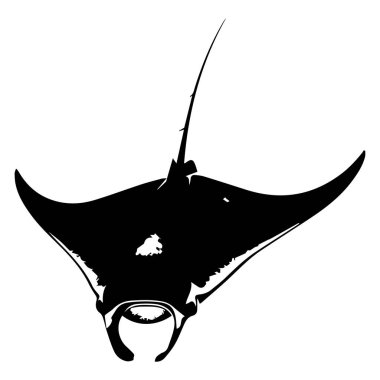 Elegant Silhouette of a Manta Ray Swimming Gracefully Underwater in Black and White Design for Marine Life Illustrations