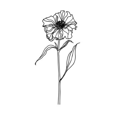 Elegant Line Art Flower Drawing on White Background for Minimalist Home Decor and Creative Design Projects