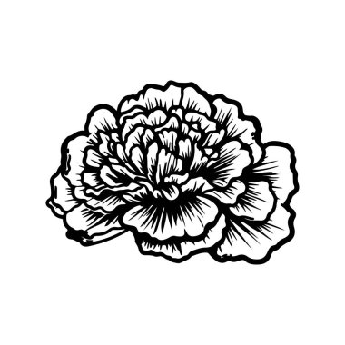 Black and White Hand-Drawn Flower Illustration for Artistic and Creative Projects