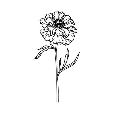 Elegant Outline Illustration of a Single Flower with Delicate Petals and Leaves for Artistic and Floral Design Projects