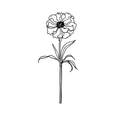 Elegant Line Drawing of a Single Flower with Detailed Petals and Leaves in Minimalistic Style for Elegant Decor and Artistic Projects