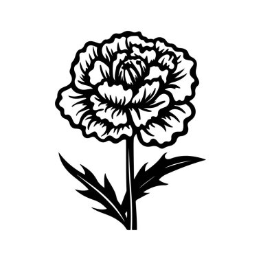 Elegant black and white line art illustration of a single blooming flower with intricate petals and leaves, perfect for decorative design projects