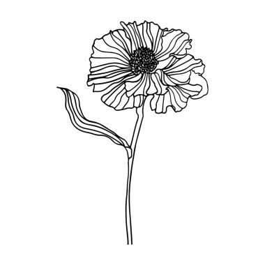 Elegant Black and White Line Art of a Single Flower with Delicate Petals and Stem Design for Artistic and Creative Uses