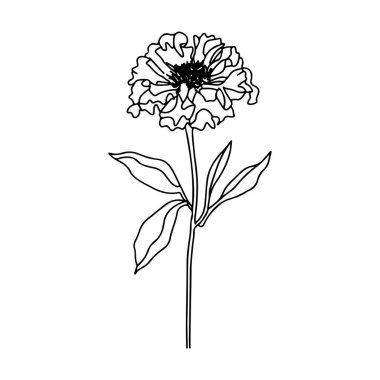 Minimalist Line Art of a Single Flower with Elegant Leaves for Decorative or Artistic Use in Modern Design Projects