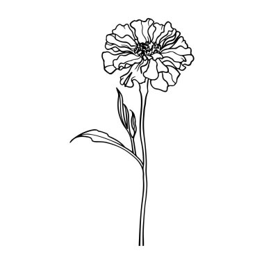 Elegant Line Art of a Single Flower with Delicate Petals and Leaves for Minimalist Design Projects