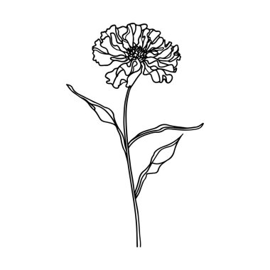 Elegant minimalist line drawing of a flower showcasing delicate details and natural beauty, perfect for artistic or botanical theme design projects.