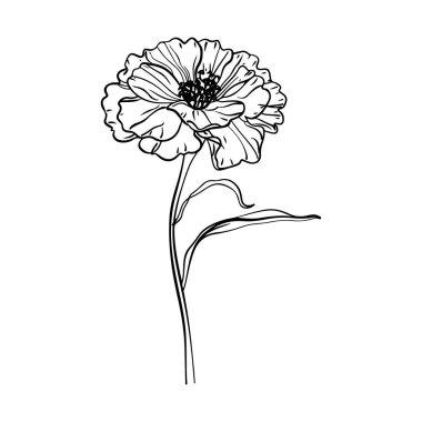 Elegant Hand-Drawn Flower Illustration in Black and White for Artistic Projects, Branding, and Creative Designs