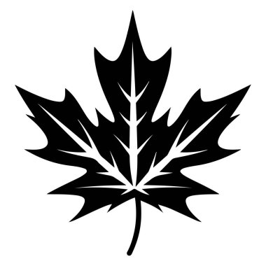 Black Silhouette of a Maple Leaf Design for Nature and Autumn Themes in Graphic Works and Illustrations